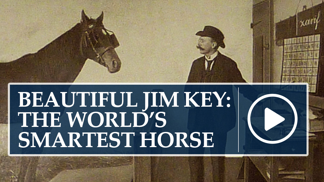 Speakers Bureau Video: Beautiful Jim Key: The World's Smartest Horse